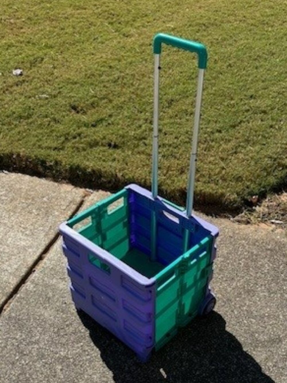 Rolling Folding Cart